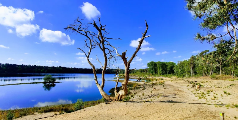 Woningontruiming Oisterwijk